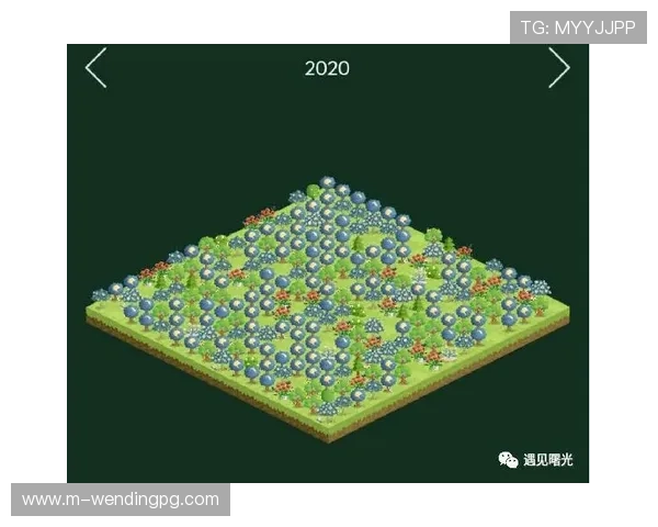 问鼎国际app最新版下载安装后常见的设置优化建议，提升你的游戏体验和操作效率